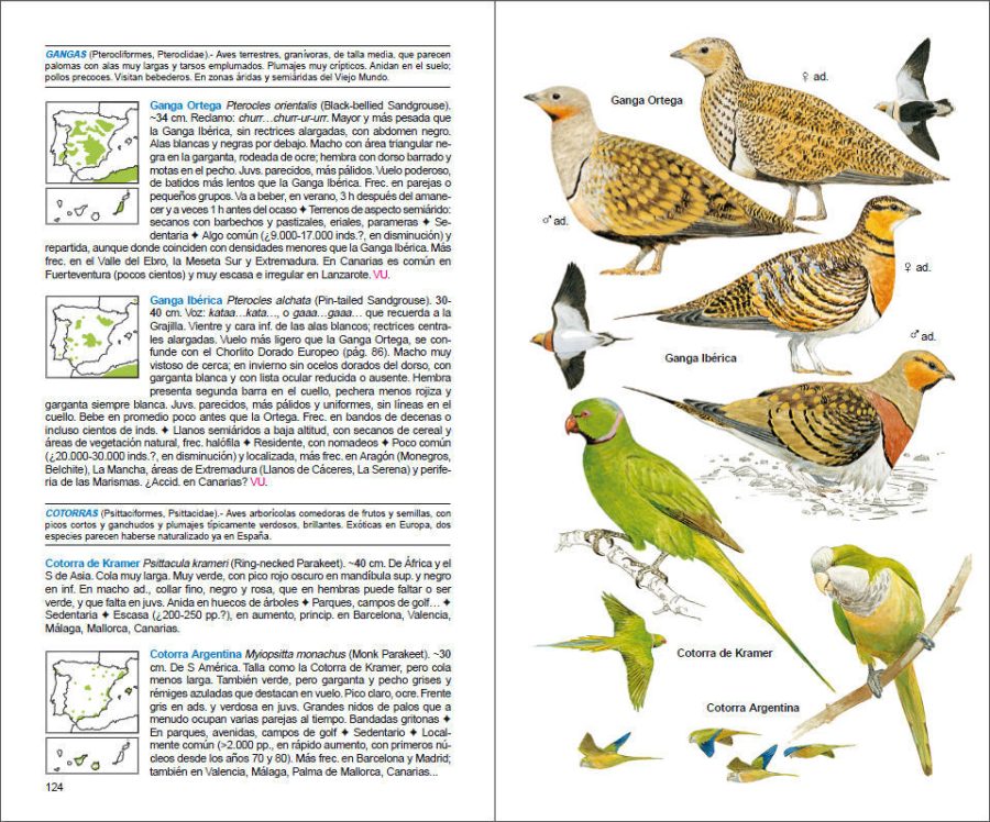 Aves de España sample page